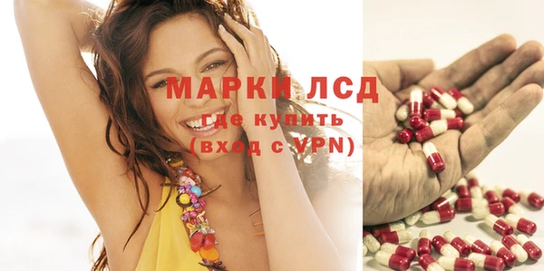 крисы Верея