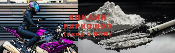крисы Верея