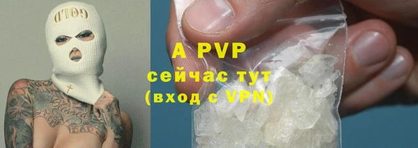крисы Верея