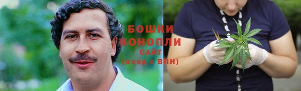 сатива Верхний Тагил