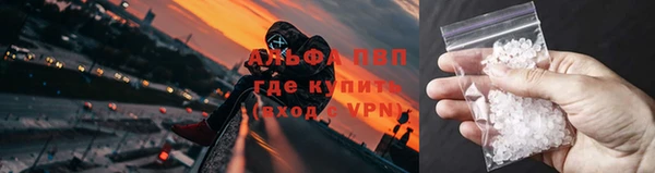 сатива Верхний Тагил