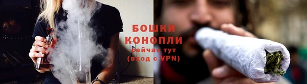 крисы Верея