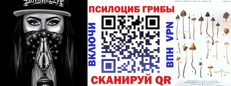 Купить закладки Апрелевка Псилоцибиновые грибы Psilocybine cubensis